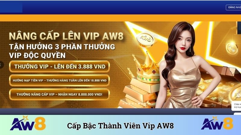 Cấp Bậc Thành Viên VIP AW8 - Thăng Cấp VIP 50 Cực Nhanh Cấp bậc thành viên VIP AW8