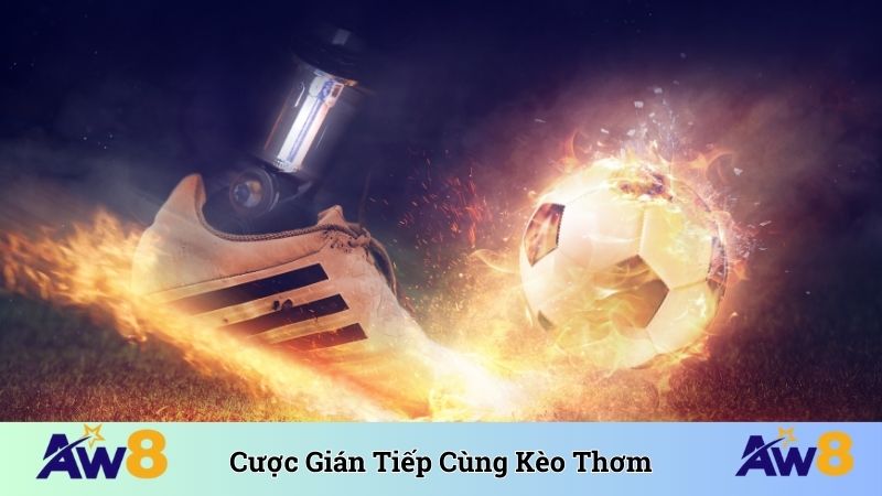 Cược Gián Tiếp - AW8 Cùng Bet Thủ Khám Phá Kèo Thơm Cược gián tiếp